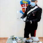 Crevalcore, spacciatore scoperto grazie al fiuto di un pastore tedesco dei Carabinieri