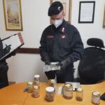 Pianoro: padre e figlio nei guai per droga
