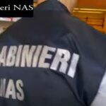 èTG –  Ragni tra gli scaffali in due supermercati