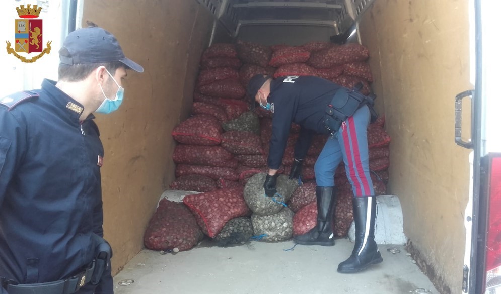 Maxi carico di vongole avariate sequestrato a Casalecchio