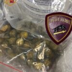 Ingerisce 65 ovuli di cocaina e hashish, arrestato