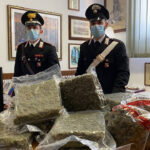 Partita da 15 kg di ‘erba’ sequestrata dai carabinieri