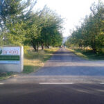 Azienda agricola Arvaia di Borgo Panigale presa di mira dai vandali