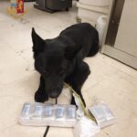 Due kg di droga e 20mila euro ‘cash’: blitz della polizia in via Miramonte