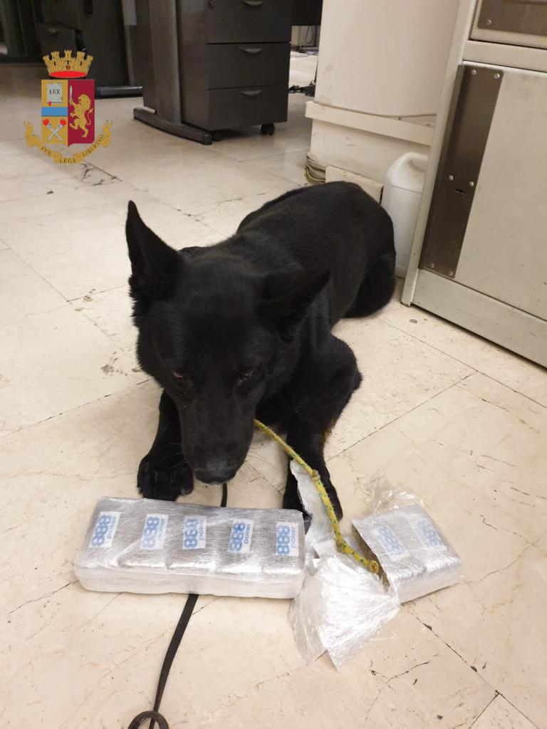 Due kg di droga e 20mila euro ‘cash’: blitz della polizia in via Miramonte