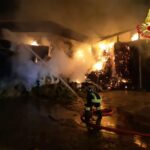 Fiamme in un’azienda agricola, i pompieri salvano gli animali