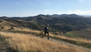 Sciame di calabroni attacca podisti, una donna finisce in ospedale