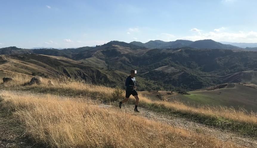 Sciame di calabroni attacca podisti, una donna finisce in ospedale