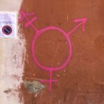 Ddl Zan, Forza Italia ‘imbrattata sede di Bologna’