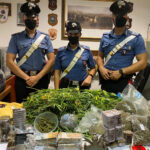 Piantagione di cannabis a Malalbergo, due arresti dei carabinieri