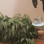 Droga: nei guai un pizzaiolo e un negoziante