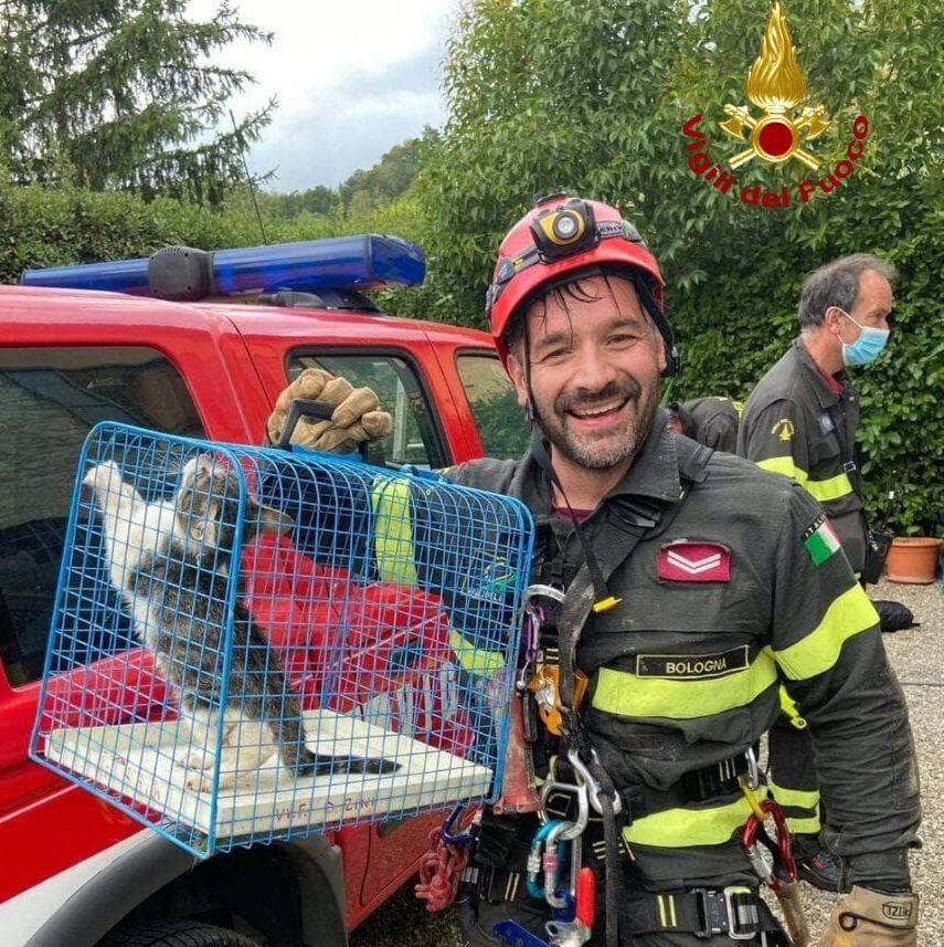 Gatto cade in un pozzo, recuperato dai pompieri