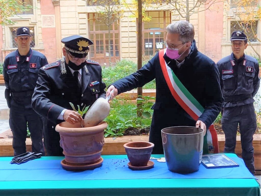 Carabinieri forestali donano al Comune l’albero di Giovanni Falcone