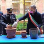 Carabinieri forestali donano al Comune l’albero di Giovanni Falcone