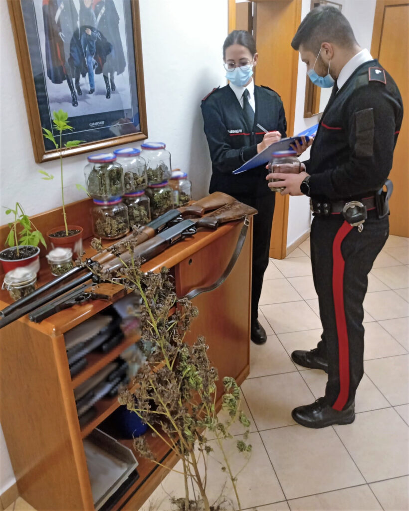 Ha in casa ‘erba’ e piante di cannabis, 57enne nei guai