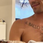 Oasi felina Pianoro, Damiano dei Måneskin: ‘Verremo a trovarvi al rifugio’