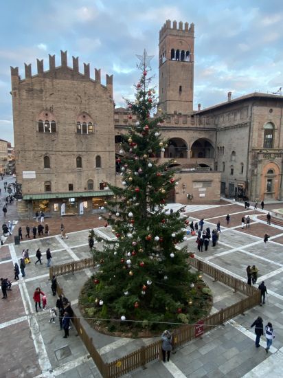 Natale, domani l’accensione dell’albero in Piazza del Nettuno