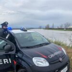 Un 85enne e un 27enne feriti da due cani pastore in una zuffa con un rottweiler