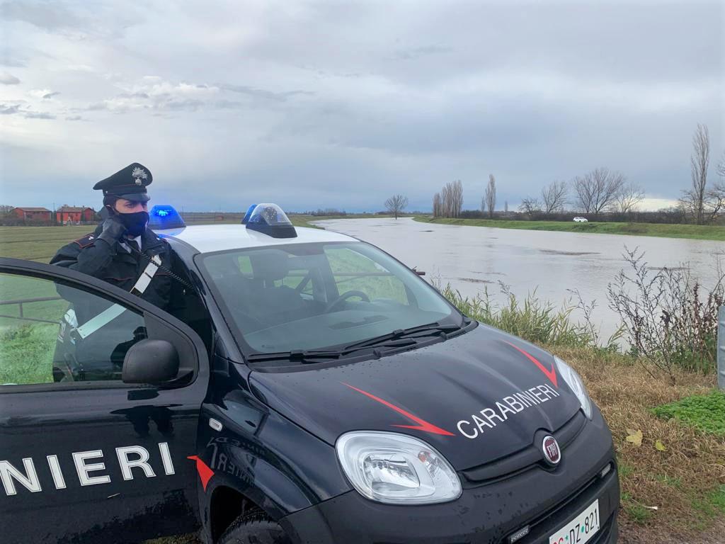 Un 85enne e un 27enne feriti da due cani pastore in una zuffa con un rottweiler