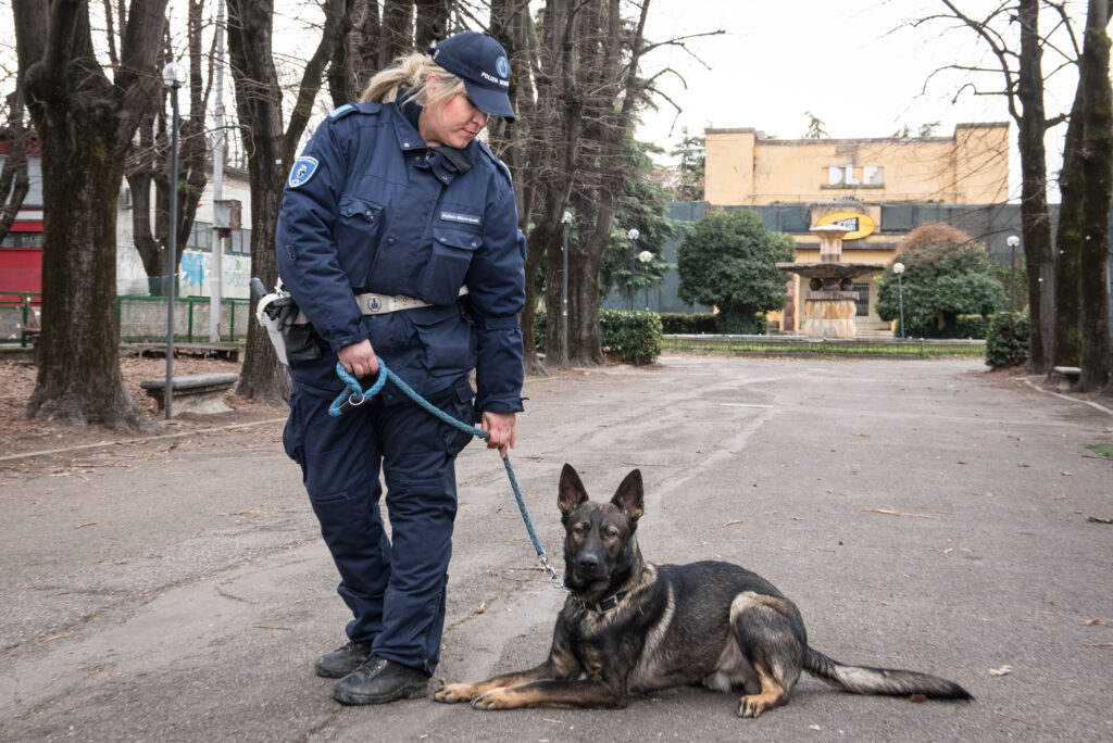 Sequestrati cocaina ed eroina in un’auto grazie al fiuto del cane Grey