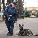 Sequestrati cocaina ed eroina in un’auto grazie al fiuto del cane Grey