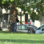 Molosso attacca cagnolino e morde la padrona, denunciata la proprietaria