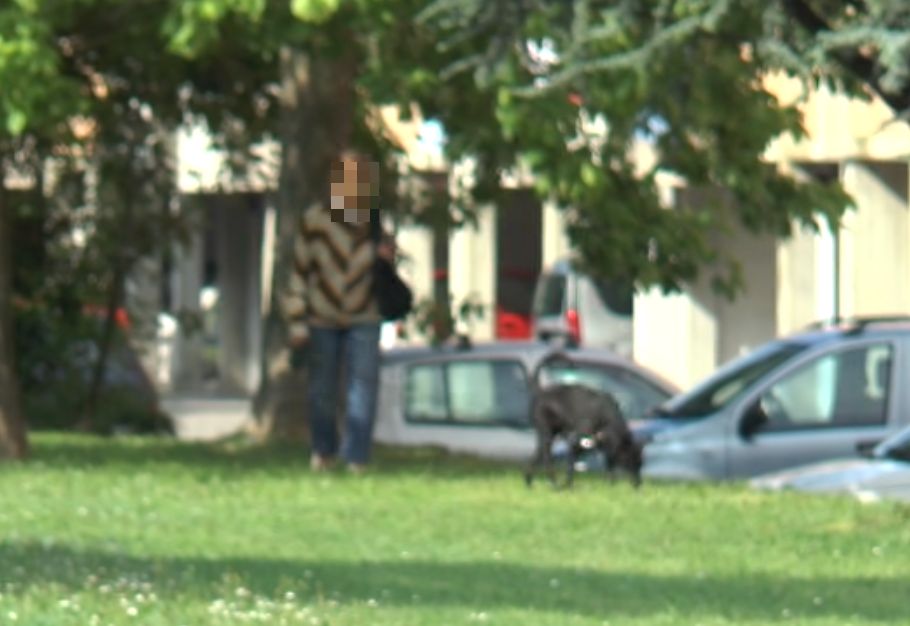 Molosso attacca cagnolino e morde la padrona, denunciata la proprietaria