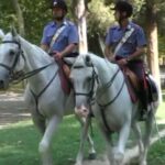 Forze dell’ordine a cavallo nei parchi con la bella stagione<br>