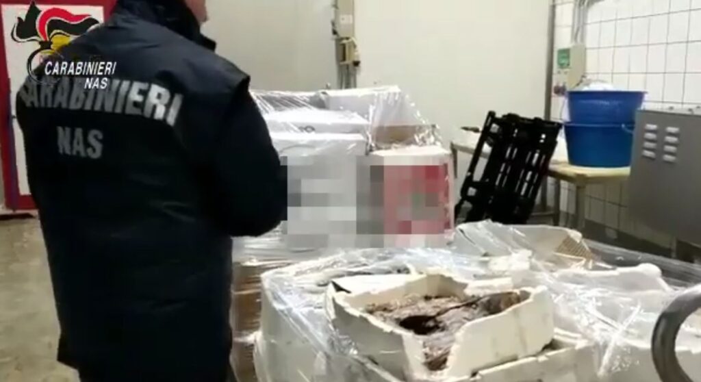 Pesce mal conservato: 10 tonnellate sequestrate dal Nas di Bologna