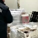 Pesce mal conservato: 10 tonnellate sequestrate dal Nas di Bologna