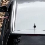 Maxi operazione anti-droga della polizia al Pilastro