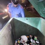 Gatto in un cassonetto per vetro e lattine, salvato dai carabinieri
