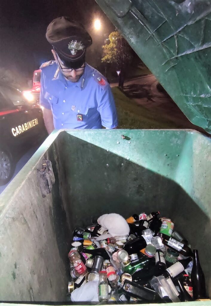 Gatto in un cassonetto per vetro e lattine, salvato dai carabinieri