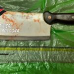 Dramma sfiorato a Monteveglio: anziano depresso tenta di uccidere il figlio