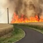 Appiccano incendio ‘per divertimento’, identificati e denunciati dai carabinieri