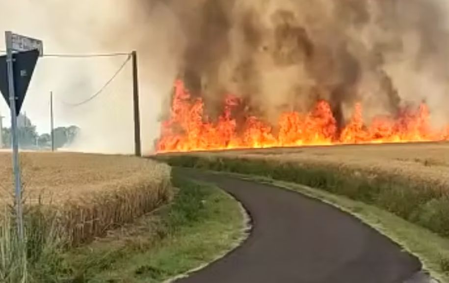 Appiccano incendio ‘per divertimento’, identificati e denunciati dai carabinieri
