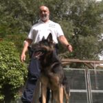 I cani della polizia locale fiutano 800 grammi di droga in due parchi