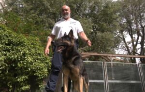 I cani della polizia locale fiutano 800 grammi di droga in due parchi