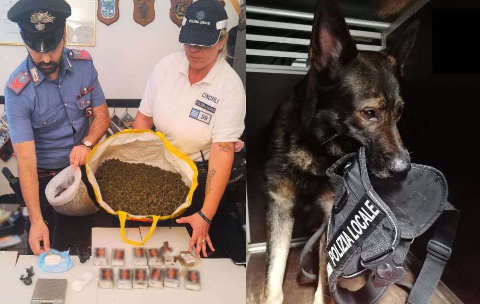 Nasconde 3 kg di droga in cantina, 17enne arrestato