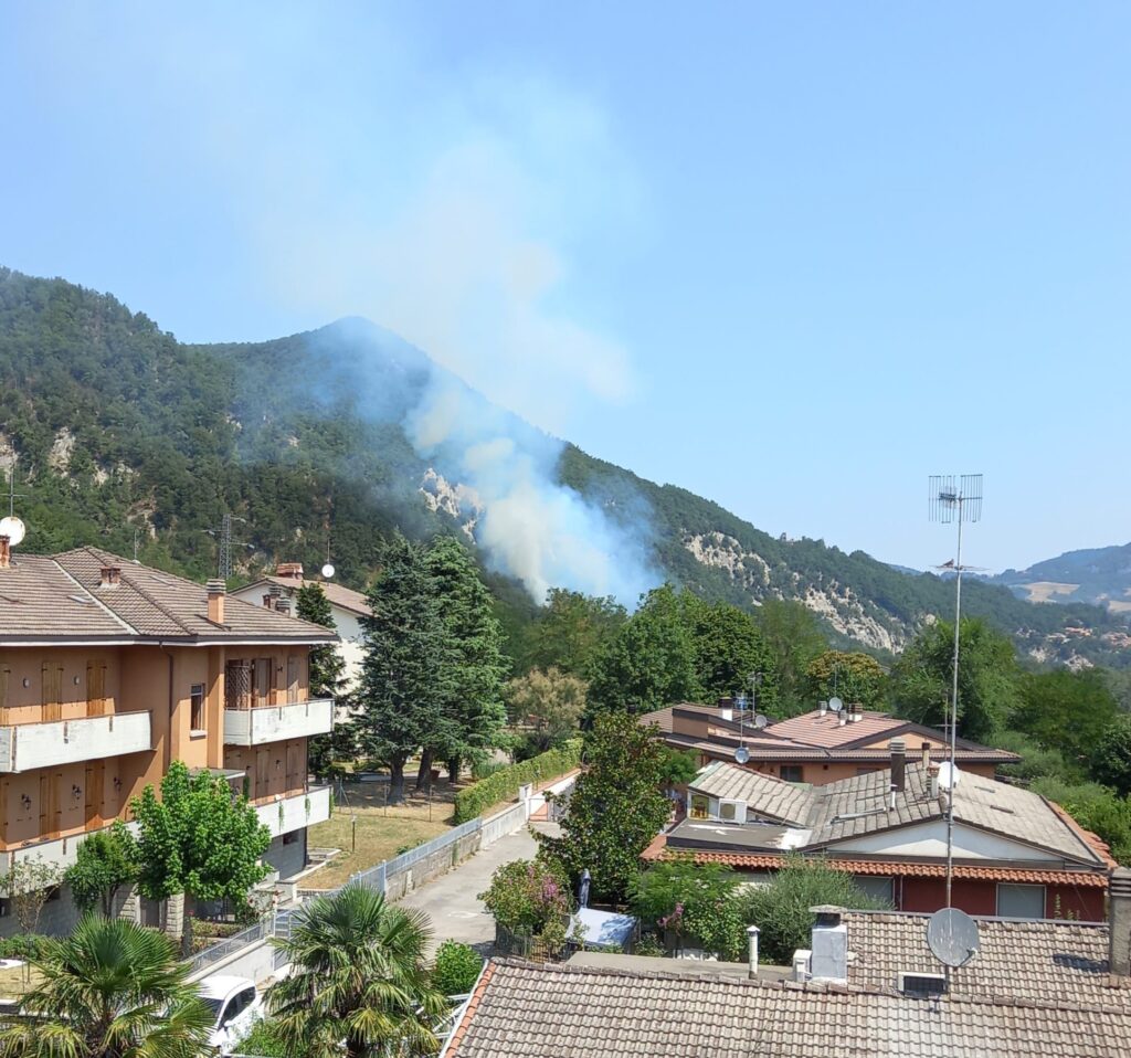 In fiamme un bosco a Vado di Monzuno