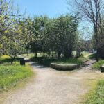 Spaccia a cliente 70enne al ‘Parco della Frutta’: pusher arrestato e cliente segnalato