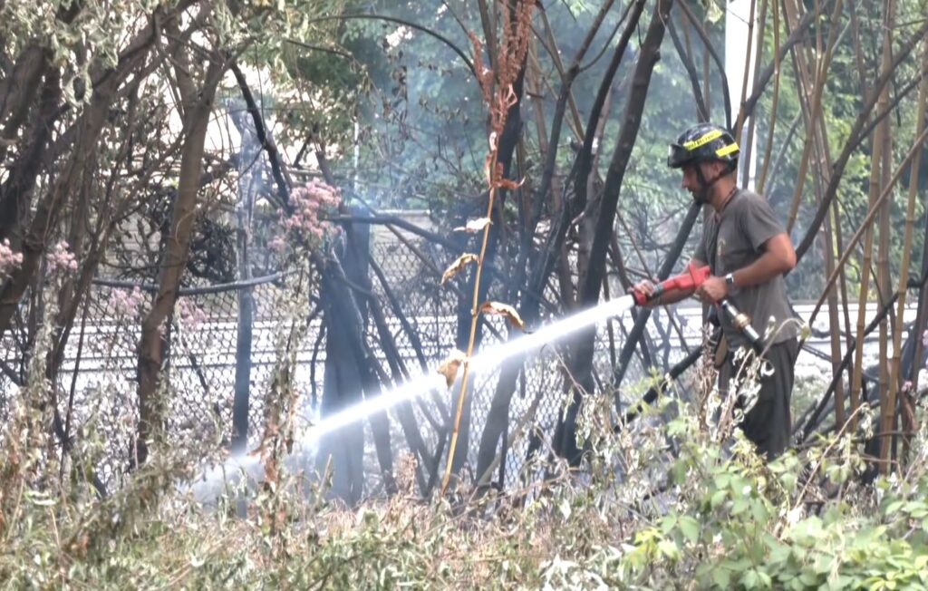 Incendio vicino ai binari, disagi sulla ferrovia Adriatica