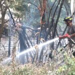 Incendio vicino ai binari, disagi sulla ferrovia Adriatica