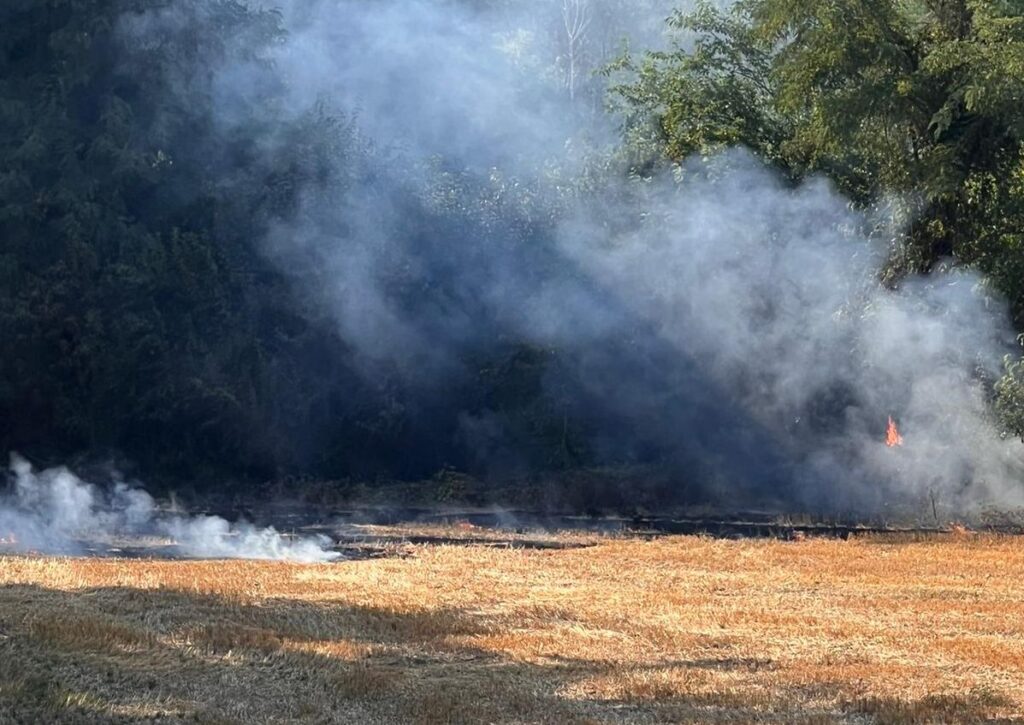 Sterpaglie in fiamme tra Castenaso e Granarolo