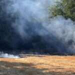 Sterpaglie in fiamme tra Castenaso e Granarolo