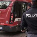 Sul bus con droga e cane rubato, interviene la polizia