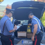 Fingendosi titolari di aree di servizio autostradali truffano aziende alimentari