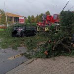 Maltempo: alberi e rami caduti sulle strade nel Bolognese