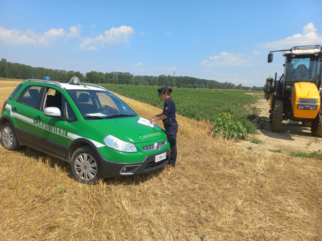 Agricoltura: 7 denunce e 36 sanzioni in controlli Cc Forestali