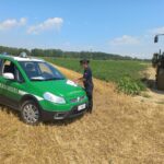 Agricoltura: 7 denunce e 36 sanzioni in controlli Cc Forestali